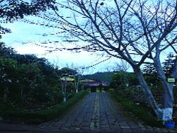 Lối vào nhà tổ thẳng tắp và rợp bóng cây Lối vào nhà tổ thẳng tắp và rợp bóng cây