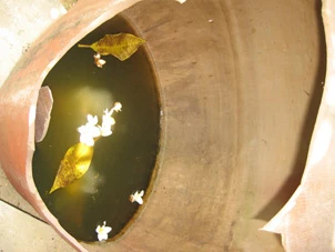 Trưng bày mùa Phật Đản: Chum vỡ, nước mưa và hoa sứ ảnh 1