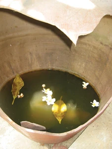 Trưng bày mùa Phật Đản: Chum vỡ, nước mưa và hoa sứ ảnh 2