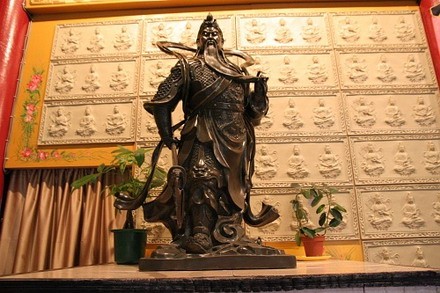 chuahalan_6.jpg