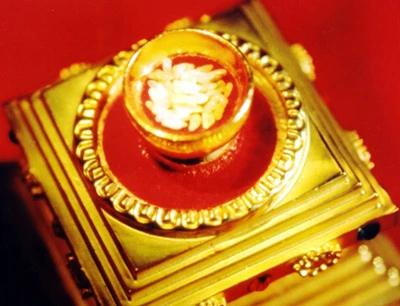 Xá lợi Phật
