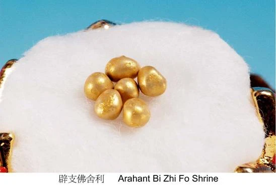 Xá Lợi của đức Phật Thích Ca Mâu Ni: Một Thánh vật thần bí ảnh 11 xaloi 12.jpg