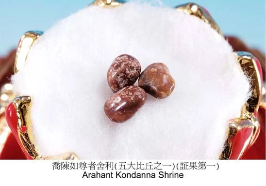 Xá Lợi của đức Phật Thích Ca Mâu Ni: Một Thánh vật thần bí ảnh 12 xaloi 14.jpg