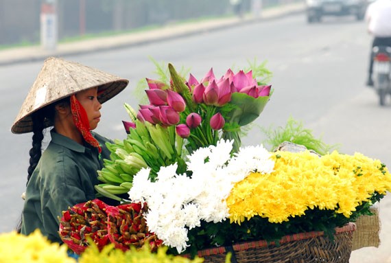 Ở giữa lòng phố thị phồn hoa vẫn còn hồ sen Tây Hồ để tĩnh tâm, để trải lòng mình ra với gió với nắng và với hương sen ngan ngát. Những nụ hoa e ấp bên lá sen to bản Hoa sen mang vẻ đẹp dịu dàng và mềm mại. Tháng 6, những đóa sen hồng, sen trắng đón hạ về. Hoa sen luôn nổi trội giữa muôn vàn sắc hoa. Hoa sen giản dị và dân dã từ cách gói, không cầu kỳ, hoa được gói bằng chính những chiếc lá sen. Tách gạo sen dùng để ướp trà. Trà sen trở thành một tinh thần đặc trưng của văn hóa trà Việt Nam, mang trong đó nhiều triết lý, lịch sự và lòng kính trọng. Mùa sen mùa của những kỷ niệm tràn về. Sen tỏa hương lặng lẽ trong một góc tâm hồn để biết rằng ký ức mình vẫn còn vẹn nguyên một thời. Những gánh hàng hoa với những nụ sen còn búp chờ tay người cắm len lỏi vào từng con đường, góc phố. Ở giữa lòng phố thị phồn hoa vẫn còn hồ sen Tây Hồ để tĩnh tâm, để trải lòng mình ra với gió với nắng và với hương sen ngan ngát. Những nụ hoa e ấp bên lá sen to bản Hoa sen mang vẻ đẹp dịu dàng và mềm mại. Tháng 6, những đóa sen hồng, sen trắng đón hạ về. Hoa sen luôn nổi trội giữa muôn vàn sắc hoa. Hoa sen giản dị và dân dã từ cách gói, không cầu kỳ, hoa được gói bằng chính những chiếc lá sen. Tách gạo sen dùng để ướp trà. Trà sen trở thành một tinh thần đặc trưng của văn hóa trà Việt Nam, mang trong đó nhiều triết lý, lịch sự và lòng kính trọng. Mùa sen mùa của những kỷ niệm tràn về. Sen tỏa hương lặng lẽ trong một góc tâm hồn để biết rằng ký ức mình vẫn còn vẹn nguyên một thời. Những gánh hàng hoa với những nụ sen còn búp chờ tay người cắm len lỏi vào từng con đường, góc phố.