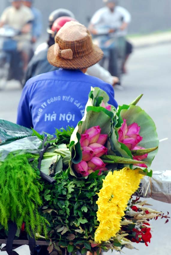 Ở giữa lòng phố thị phồn hoa vẫn còn hồ sen Tây Hồ để tĩnh tâm, để trải lòng mình ra với gió với nắng và với hương sen ngan ngát. Những nụ hoa e ấp bên lá sen to bản Hoa sen mang vẻ đẹp dịu dàng và mềm mại. Tháng 6, những đóa sen hồng, sen trắng đón hạ về. Hoa sen luôn nổi trội giữa muôn vàn sắc hoa. Hoa sen giản dị và dân dã từ cách gói, không cầu kỳ, hoa được gói bằng chính những chiếc lá sen. Tách gạo sen dùng để ướp trà. Trà sen trở thành một tinh thần đặc trưng của văn hóa trà Việt Nam, mang trong đó nhiều triết lý, lịch sự và lòng kính trọng. Mùa sen mùa của những kỷ niệm tràn về. Sen tỏa hương lặng lẽ trong một góc tâm hồn để biết rằng ký ức mình vẫn còn vẹn nguyên một thời. Những gánh hàng hoa với những nụ sen còn búp chờ tay người cắm len lỏi vào từng con đường, góc phố. Ở giữa lòng phố thị phồn hoa vẫn còn hồ sen Tây Hồ để tĩnh tâm, để trải lòng mình ra với gió với nắng và với hương sen ngan ngát. Những nụ hoa e ấp bên lá sen to bản Hoa sen mang vẻ đẹp dịu dàng và mềm mại. Tháng 6, những đóa sen hồng, sen trắng đón hạ về. Hoa sen luôn nổi trội giữa muôn vàn sắc hoa. Hoa sen giản dị và dân dã từ cách gói, không cầu kỳ, hoa được gói bằng chính những chiếc lá sen. Tách gạo sen dùng để ướp trà. Trà sen trở thành một tinh thần đặc trưng của văn hóa trà Việt Nam, mang trong đó nhiều triết lý, lịch sự và lòng kính trọng. Mùa sen mùa của những kỷ niệm tràn về. Sen tỏa hương lặng lẽ trong một góc tâm hồn để biết rằng ký ức mình vẫn còn vẹn nguyên một thời. Những gánh hàng hoa với những nụ sen còn búp chờ tay người cắm len lỏi vào từng con đường, góc phố.