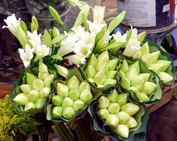 Ở giữa lòng phố thị phồn hoa vẫn còn hồ sen Tây Hồ để tĩnh tâm, để trải lòng mình ra với gió với nắng và với hương sen ngan ngát. Những nụ hoa e ấp bên lá sen to bản Hoa sen mang vẻ đẹp dịu dàng và mềm mại. Tháng 6, những đóa sen hồng, sen trắng đón hạ về. Hoa sen luôn nổi trội giữa muôn vàn sắc hoa. Hoa sen giản dị và dân dã từ cách gói, không cầu kỳ, hoa được gói bằng chính những chiếc lá sen. Tách gạo sen dùng để ướp trà. Trà sen trở thành một tinh thần đặc trưng của văn hóa trà Việt Nam, mang trong đó nhiều triết lý, lịch sự và lòng kính trọng. Mùa sen mùa của những kỷ niệm tràn về. Sen tỏa hương lặng lẽ trong một góc tâm hồn để biết rằng ký ức mình vẫn còn vẹn nguyên một thời. Những gánh hàng hoa với những nụ sen còn búp chờ tay người cắm len lỏi vào từng con đường, góc phố.