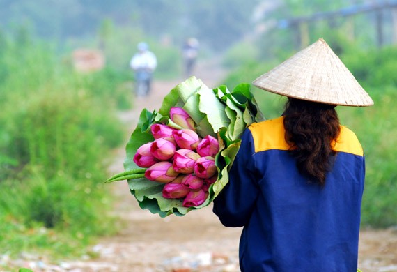 Ở giữa lòng phố thị phồn hoa vẫn còn hồ sen Tây Hồ để tĩnh tâm, để trải lòng mình ra với gió với nắng và với hương sen ngan ngát. Những nụ hoa e ấp bên lá sen to bản Hoa sen mang vẻ đẹp dịu dàng và mềm mại. Tháng 6, những đóa sen hồng, sen trắng đón hạ về. Hoa sen luôn nổi trội giữa muôn vàn sắc hoa. Hoa sen giản dị và dân dã từ cách gói, không cầu kỳ, hoa được gói bằng chính những chiếc lá sen. Tách gạo sen dùng để ướp trà. Trà sen trở thành một tinh thần đặc trưng của văn hóa trà Việt Nam, mang trong đó nhiều triết lý, lịch sự và lòng kính trọng. Mùa sen mùa của những kỷ niệm tràn về. Sen tỏa hương lặng lẽ trong một góc tâm hồn để biết rằng ký ức mình vẫn còn vẹn nguyên một thời. Những gánh hàng hoa với những nụ sen còn búp chờ tay người cắm len lỏi vào từng con đường, góc phố. Ở giữa lòng phố thị phồn hoa vẫn còn hồ sen Tây Hồ để tĩnh tâm, để trải lòng mình ra với gió với nắng và với hương sen ngan ngát. Những nụ hoa e ấp bên lá sen to bản Hoa sen mang vẻ đẹp dịu dàng và mềm mại. Tháng 6, những đóa sen hồng, sen trắng đón hạ về. Hoa sen luôn nổi trội giữa muôn vàn sắc hoa. Hoa sen giản dị và dân dã từ cách gói, không cầu kỳ, hoa được gói bằng chính những chiếc lá sen. Tách gạo sen dùng để ướp trà. Trà sen trở thành một tinh thần đặc trưng của văn hóa trà Việt Nam, mang trong đó nhiều triết lý, lịch sự và lòng kính trọng. Mùa sen mùa của những kỷ niệm tràn về. Sen tỏa hương lặng lẽ trong một góc tâm hồn để biết rằng ký ức mình vẫn còn vẹn nguyên một thời. Những gánh hàng hoa với những nụ sen còn búp chờ tay người cắm len lỏi vào từng con đường, góc phố.