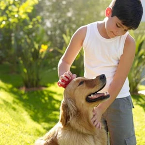 Bức thư của một chú cún ảnh 3