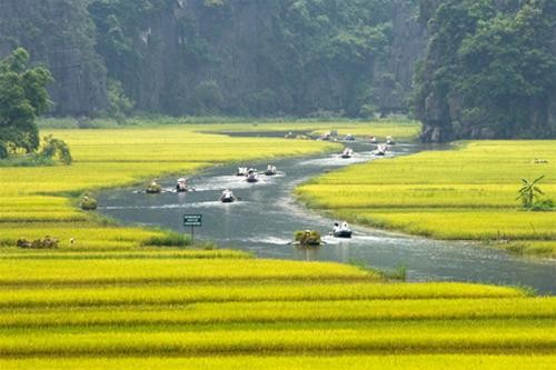 Cảnh đẹp Ninh Bình trên dòng Ngô Đồng - Ảnh: Nguyên Nguyên Cảnh đẹp Ninh Bình trên dòng Ngô Đồng - Ảnh: Nguyên Nguyên