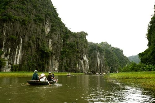 Thiên nhiên và toàn cảnh Tam Cốc, Ngô Đồng Giang - Ảnh: Nguyên Nguyên