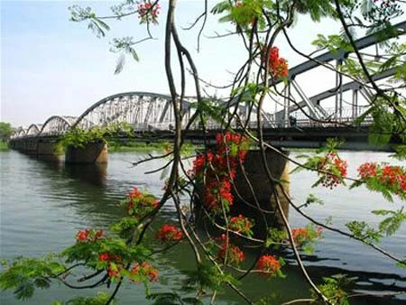 Như bầy thiên nga trong bầu trời màu đỏ ảnh 1