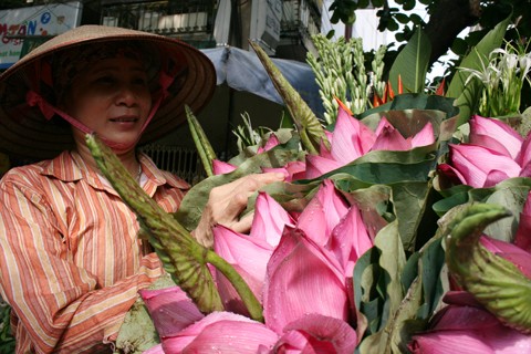 Hồ sen Đình Giàn, Cổ Nhuế đẹp hơn dưới cái nắng cháy da của những ngày tháng sáu. Vươn lên trong ánh nắng hè. Sen Hồ Tây từ lâu đã trở thành chất liệu sáng tác của các nhà nhiếp ảnh. Sen làm mũ đội đầu cho những bạn trẻ có tâm hồn lãng mạn. Những nụ hoa lấp ló sau những lá sen to bản. Lác đác, có những cánh sen rụng về cội. Đài sen là nguồn thu nhập chính của nhiều ngừơi dân trồng sen tại Đình Giàn, Hồ Tây. Hoa sen theo những chiếc xe đạp bình dị xuống phố. Cùng với các loài hoa khác, sen làm từng góc phố Hà Nội thêm màu sắc. Từng bó, từng bó đến tay những người yêu hoa.