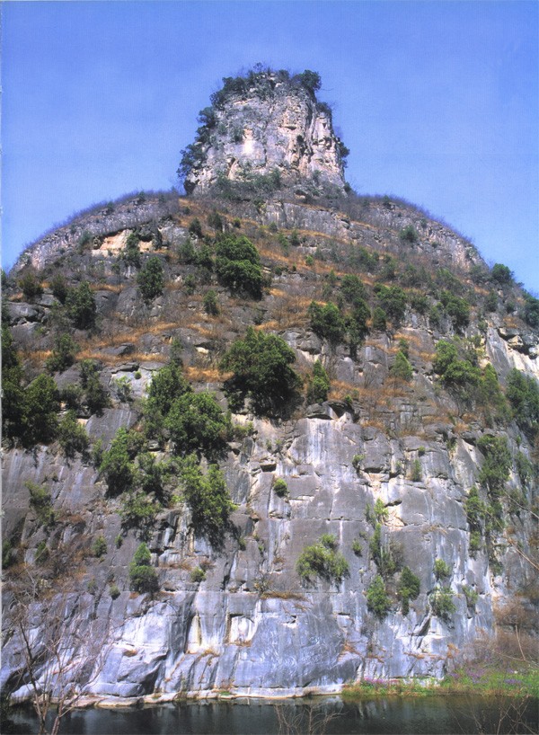 daiphat 6.jpg