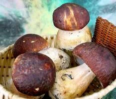 Hãy cẩn thận khi ăn nấm ảnh 1