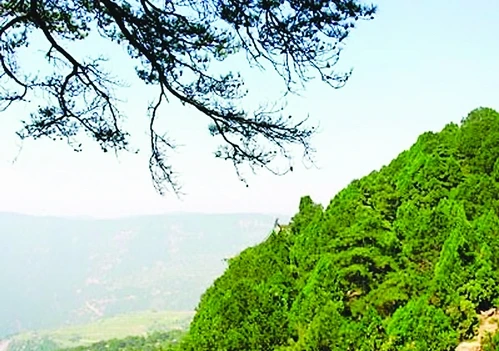 Trung Quốc: Tây Sơn Đại Phật - Thái Nguyên, tỉnh Sơn Tây ảnh 20 daiphat 20.jpg