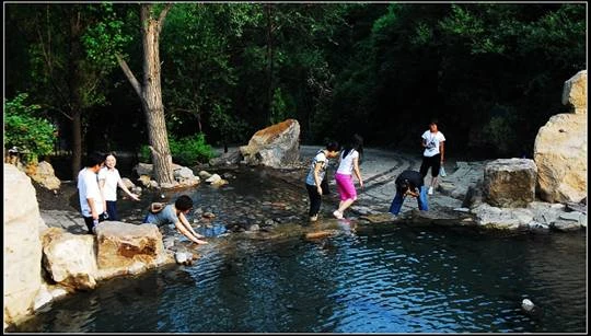 Trung Quốc: Tây Sơn Đại Phật - Thái Nguyên, tỉnh Sơn Tây ảnh 26 daiphat 29.jpg