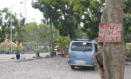 canhchua_3.jpg