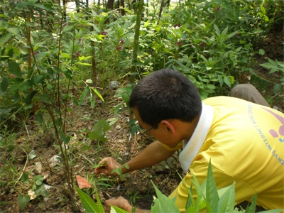 Giã biệt game, siêu nhân vào cửa Phật tập làm Tăng ảnh 2