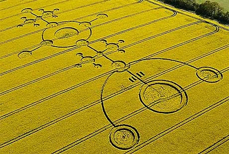 Những hình tròn kỳ thú xuất hiện trên cánh đồng lúa mì ở Wiltshire, Anh.