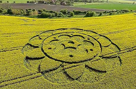 Michael Glickman, chuyên gia nghiên cứu về các vòng tròn bí ẩn trên cánh đồng, cho biết ông từng nhìn thấy một vòng tròn kỳ lạ này trước kia nhưng chỉ riêng tháng này, ông đã biết đến 11 hình tròn khổng lồ.