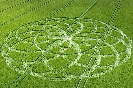 Glickman thăm hình tròn đầu tiên trên đồng năm 1990 và là tác giả của nhiều cuốn sách về chủ đề này.