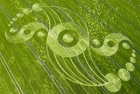 Nhưng sau 19 năm nghiên cứu, ông vẫn không thể đưa ra lời giải thích về việc những hình tròn đó được tạo ra như thế nào và tại sao.