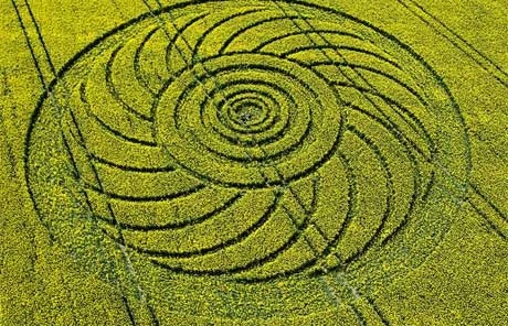 Cụm từ đó được nhà nghiên cứu Colin Andrews đưa ra đầu những năm 1980 và thậm chí được đưa vào từ điển của Oxford năm 1997.