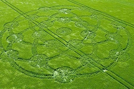 Delgado từng xuất bản cuốn sách bán chạy nhất mang tên Circular Evidence năm 1989 nhưng hai năm sau, hai người đàn ông ở Southampton tuyên bố họ chính là tác giả của tất cả các vòng tròn kỳ lạ và tạo ra chúng bằng một tấm gỗ và sợi dây thừng.