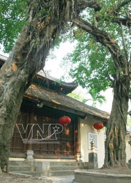 Chùa cổ Hòe Nhai và bức tượng lạ ảnh 4