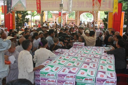 trihai_5.jpg