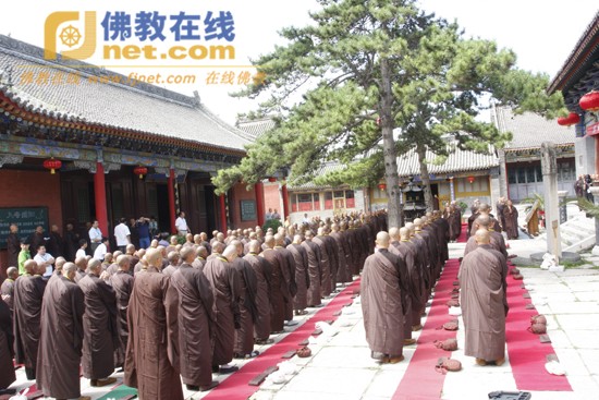 trung 27.jpg