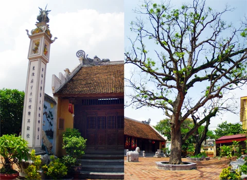 Chùa làng Hoàng Mai là nơi lưu giữ nhiều nét văn hóa của vùng đất cổ Mơ Rượu. Mái chùa cong cong, những cây cổ thụ khẳng khiu đầy hoài niệm. Chiếc giếng cổ như một con mắt xanh của đất. Đình Hoàng Mai lát gạch đỏ với những tượng voi, ngựa đá bên ngoài trông vừa gần gũi vừa tôn nghiêm. Cả một khuôn viên rộng lớn bao bọc lấy ngôi đình. Hàng hiên rộng của đình rộng, dài làm điểm tiếp nối giữa sân và đình. Công chùa truyền thống xen lẫn hiện đại. Những gian thờ và khoảng sân trong đình một ngày tĩnh mịch. Những ngôi tháp mang trong mình những câu chuyện và truyền thuyết lịch sử.