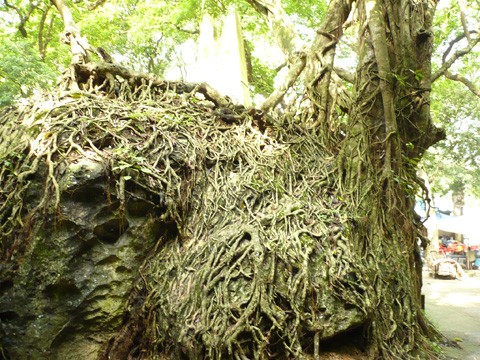 Chiêm ngưỡng kiến trúc chùa Trầm núi Ngũ hành Sơn ảnh 8 Chiêm ngưỡng kiến trúc chùa Trầm núi Ngũ hành Sơn ảnh 8