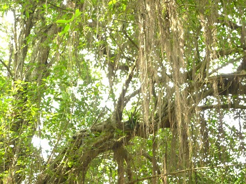 Chiêm ngưỡng kiến trúc chùa Trầm núi Ngũ hành Sơn ảnh 7 Chiêm ngưỡng kiến trúc chùa Trầm núi Ngũ hành Sơn ảnh 7