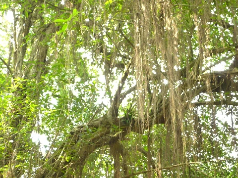 Chiêm ngưỡng kiến trúc chùa Trầm núi Ngũ hành Sơn ảnh 7