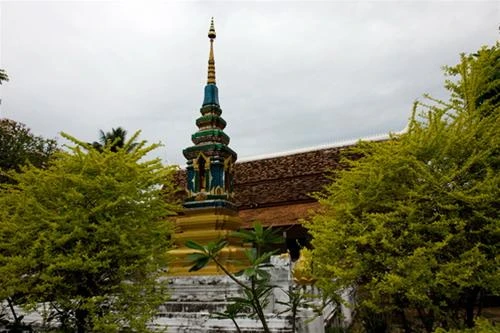 Vươn lên trời cao