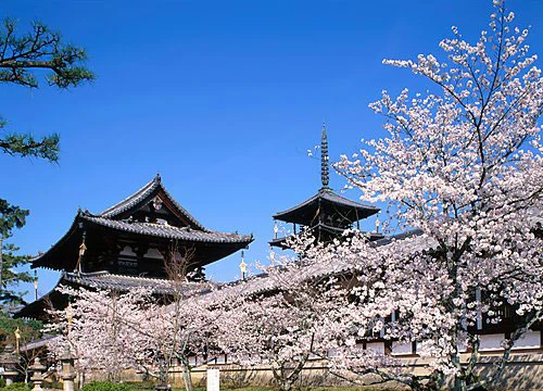 Nhật Bản: Đi thăm ngôi chùa gỗ cổ nhất Nhật Bản ảnh 2