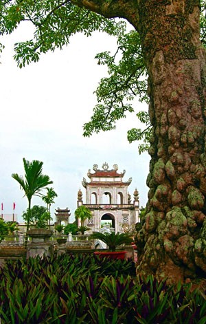 Đền thờ Tuệ Tĩnh Thiền Sư - ông tổ thuốc Nam ảnh 2