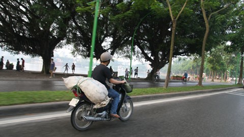 Sen vào phố d