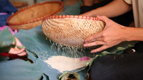 Trung bình khoảng 1400 bông sen thì mới chỉ cho khoảng từ 1 đến 1,4 kg gạo sen tùy theo thời tiết. Mô tả ảnh.