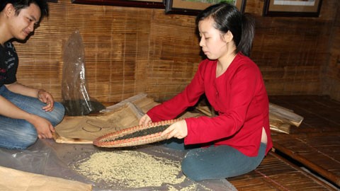 Sau khi được sấy theo một cách đặc biệt chè sen được mang ra và sàng bỏ bớt gạo sen đã ướp. d
