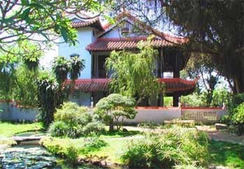 Chiều trong vườn thư pháp chùa Huyền Không ảnh 1