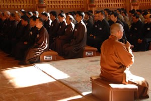 Chùm Ảnh: Lễ thọ bát quan trai tại chùa Nam Thiên ở Úc ảnh 10 uchau 10.jpg