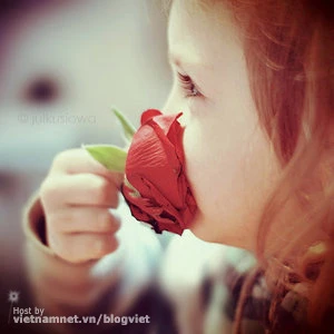 Ảnh minh họa: julkusiowa