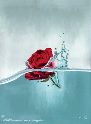 Ảnh minh họa: MolefaceNZ