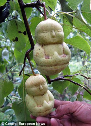 Hình ảnh ấn tượng trong tuần ảnh 2 Hình ảnh ấn tượng trong tuần ảnh 2
