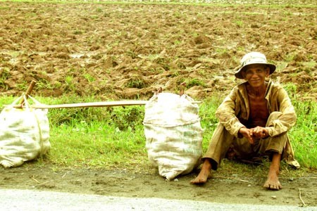 An Giang ngày hè ảnh 3 An Giang ngày hè ảnh 3