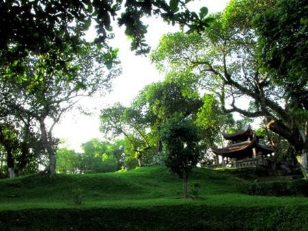 Những cây đa cổ thụ xanh rờn bao quanh khu đền Những cây đa cổ thụ xanh rờn bao quanh khu đền