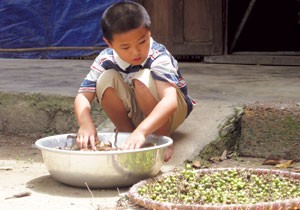 Không có tiền mua thuốc tây cho mẹ, Trường đi hái thuốc nam về phơi, nấu cho mẹ uống Không có tiền mua thuốc tây cho mẹ, Trường đi hái thuốc nam về phơi, nấu cho mẹ uống