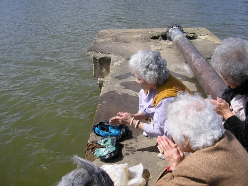 Các cụ bà thả cá, lươn xuống hồ...